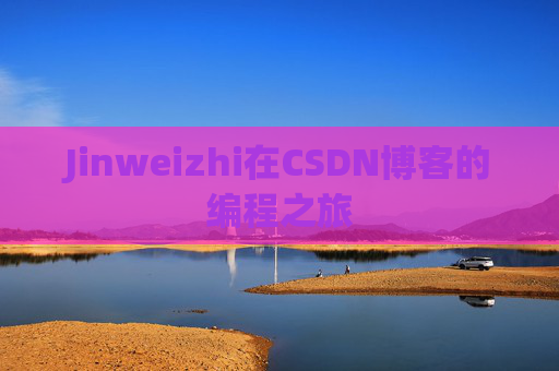 Jinweizhi在CSDN博客的编程之旅